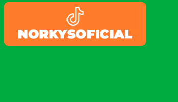 TikTok Norkys