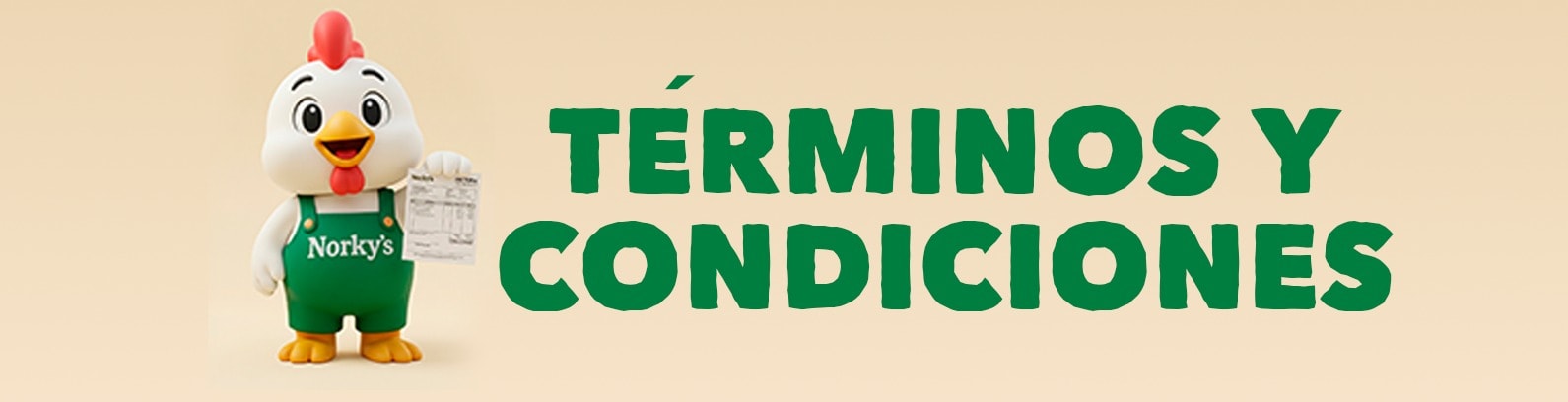 TÉRMINO Y CONDICIONES